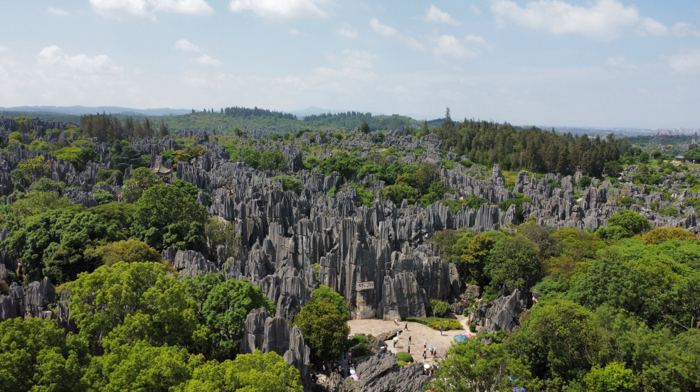 1750139975299712.png 1750139975299712.png